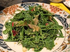 橄榄油拌丝瓜苗-芙蓉十九·新湘菜
