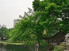 -荔湾湖公园