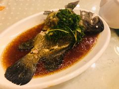 -四海之家(蛇口店)