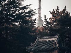 -湛山寺