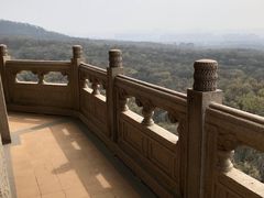 -灵谷景区