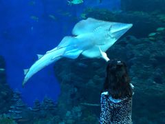 -成都浩海立方海洋公园