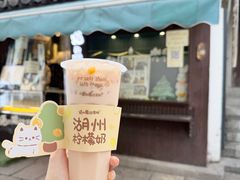 -猫的魔法密林(衣裳街店)