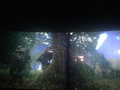 -金逸影城(中关村店)