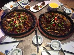 -老板恋上鱼(恒隆广场店)