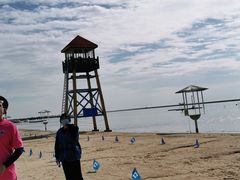 -碧海金沙