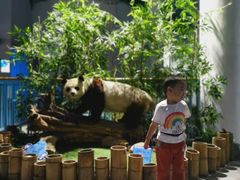 -大连森林动物园