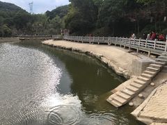 -广州市帽峰山景区