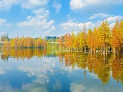 -白鹭湾湿地公园