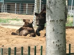-秦皇岛野生动物园