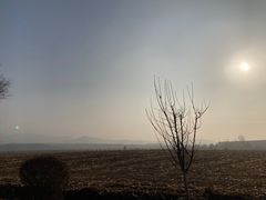 -东北亚滑雪场