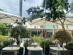 -花神·轻食简餐·咖啡馆·花卉绿植(荷兰花卉小镇店)