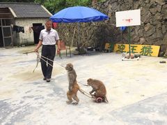 -太湖源风景区