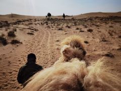 -亿利库布其七星湖沙漠生态旅游区