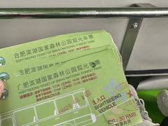 -合肥滨湖国家森林公园