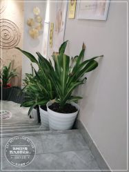 点击看大图 -尚艺造型.剪烫染.接发