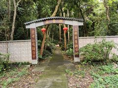 -广西龙虎山风景区