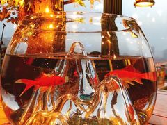 -烛影拾光观景餐厅·创意菜·摄影·小提琴(大唐不夜城店)