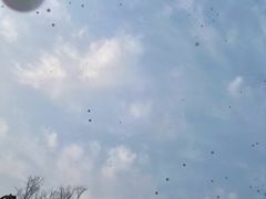 -郑州方特梦幻王国