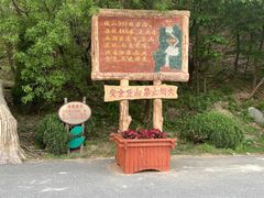 -金龙寺国家森林公园