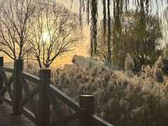 -济南国际园博园