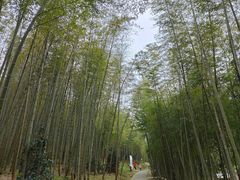 -广州市石门国家森林公园
