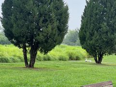 -汉长安城未央宫国家考古遗址公园