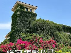 -府河摄影公园