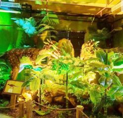 -恐龙探索乐园(磁器口店)