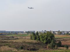 -空港花田景区