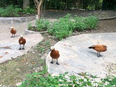 -长廊欢乐园