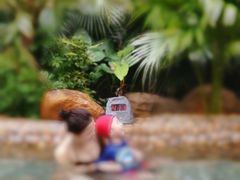 -韶关经律论国际酒店温泉