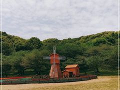 -苏州上方山国家森林公园