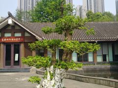 -龙头寺公园