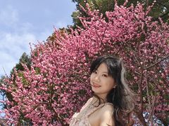 -上海植物园-4号门售票处