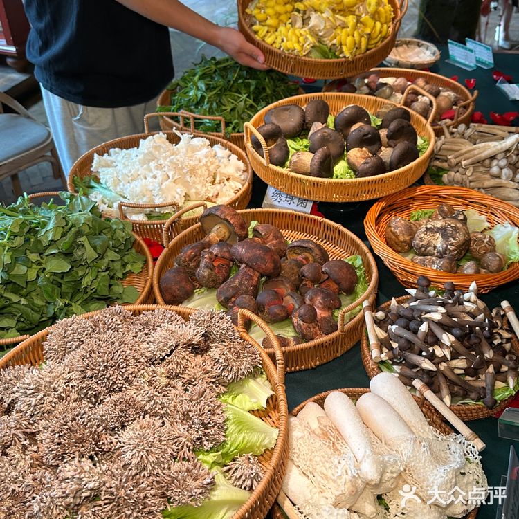 正宗云南风味|一口就鲜掉眉毛的菌汤火锅！