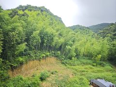 -乐从天佑城星光广场