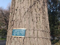 -苏州上方山国家森林公园