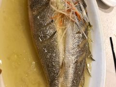 -老东吴食府(雅都店)