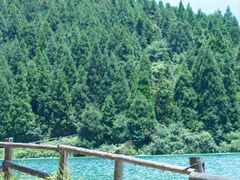 -武陵山森林公园