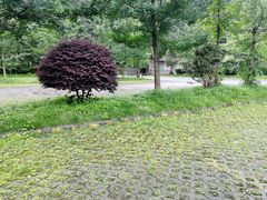 -虹口漂流
