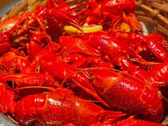 -蚝翅·海鲜粥·烧烤·宁夏滩羊季(玉米楼店)