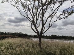 -澹台湖公园