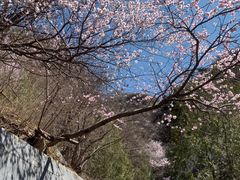 -圣莲山风景区