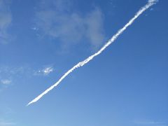 -老字号张道鸡火烧