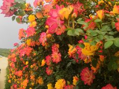 -名花谷生态庄园