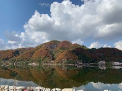 -河口景区