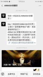 -ANNA SUI