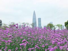 -深圳湾公园(南山区)