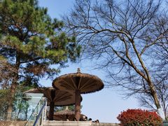 -铁山坪森林公园